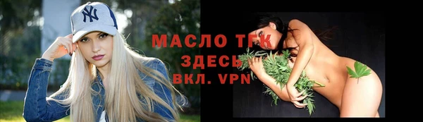 крисы Сатка