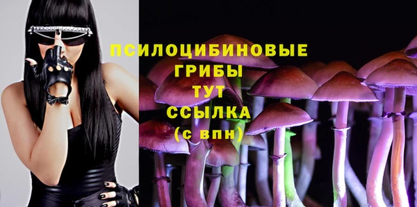 амф Елабуга