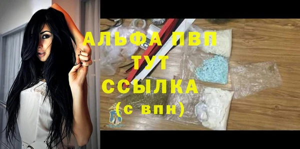 амф Елабуга